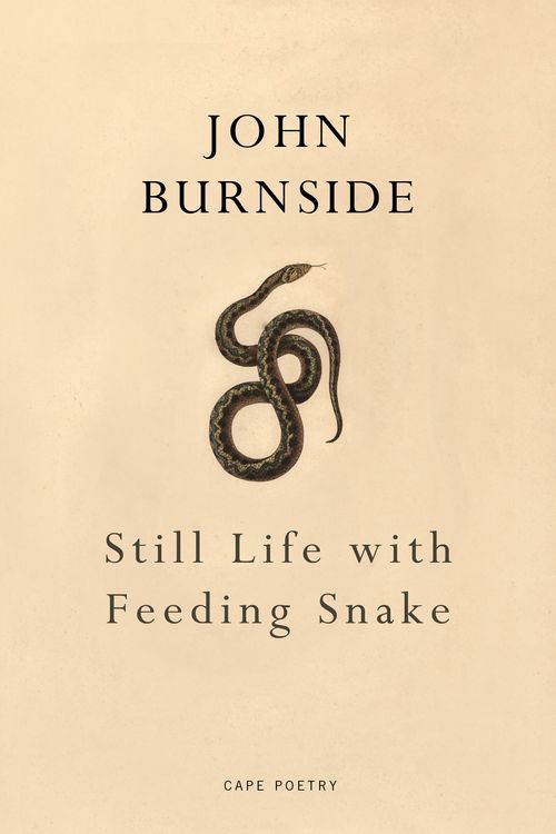 Cover Art for 9781910702413, Still Life with Feeding Snake by John Burnside