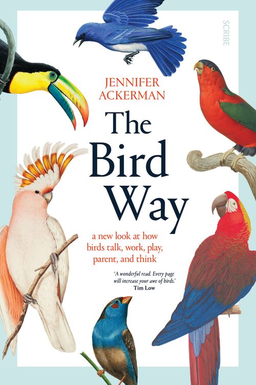 Cover Art for 9781925713763, The Bird Way by Jennifer Ackerman