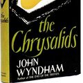 Cover Art for B08Q7RN3LK, The Chrysalids by John Wyndham