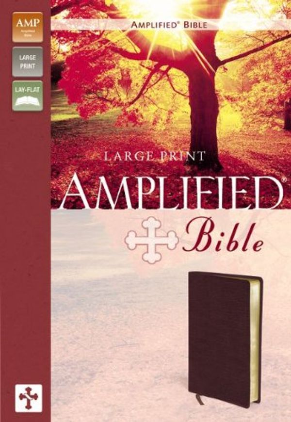 Cover Art for 0025986951832, Amplified Bible, Large Print by Zondervan