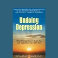 Cover Art for 9781459650657, Undoing Depression by Richard O'Connor