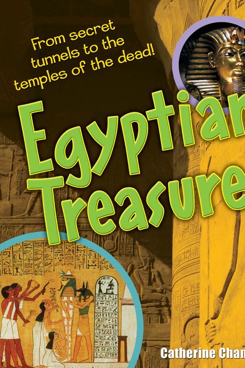Cover Art for 9781408112984, Egyptian Treasures by Catherine Chambers