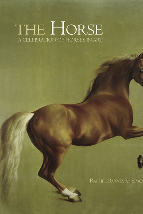 Cover Art for 9781847244727, The Horse by Rachel Barnes