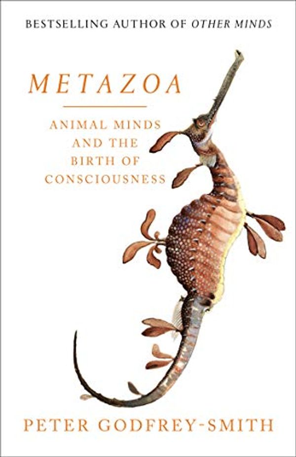 Cover Art for B07XZ8G4MF, Metazoa: The Evolution of Animals, Minds, Consciousness and Sleep by Godfrey-Smith, Peter