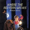 Cover Art for 9780613835343, Where the Red Fern Grows by Wilson Rawls