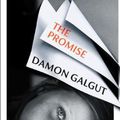 Cover Art for 9781784744069, The Promise by Damon Galgut