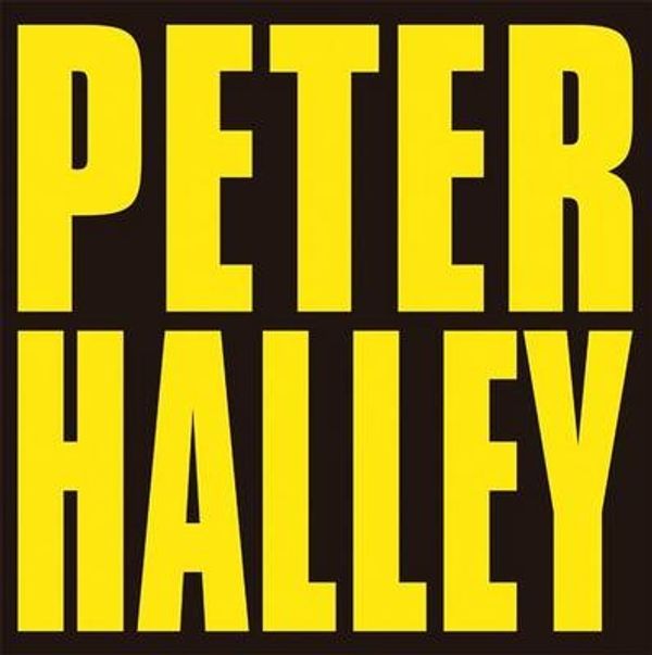 Cover Art for 9782930487137, Peter Halley: Since 2000 by Peter Halley