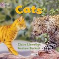 Cover Art for 9780007185481, Cats: Band 01b/Pink B by Claire Llewellyn