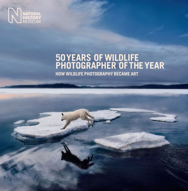 Cover Art for 9780565093839, 50 Years of Wildlife Photographer of the Year by Rosamund Kidman Cox