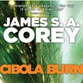Cover Art for 9780356504186, Cibola Burn: Book 4 of the Expanse (now a Prime Original series) by James S. A. Corey