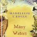 Cover Art for 9781439518182, Many Waters by Madeleine L'Engle