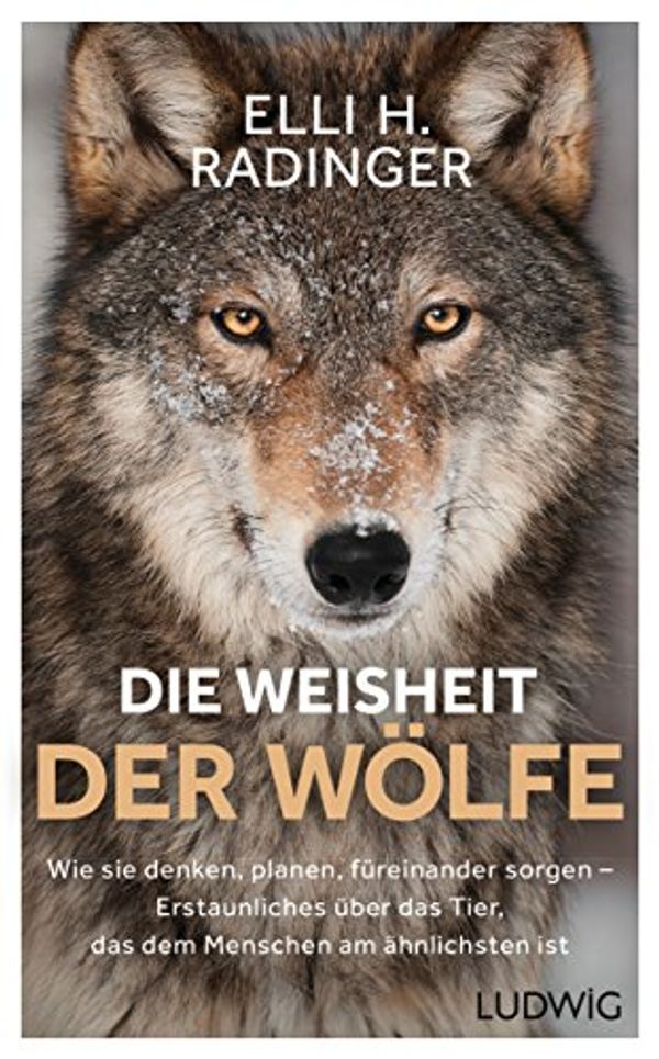 Cover Art for B06ZZKXLBN, Die Weisheit der Wölfe: Wie sie denken, planen, füreinander sorgen. Erstaunliches über das Tier, das dem Menschen am ähnlichsten ist (German Edition) by Elli H. Radinger