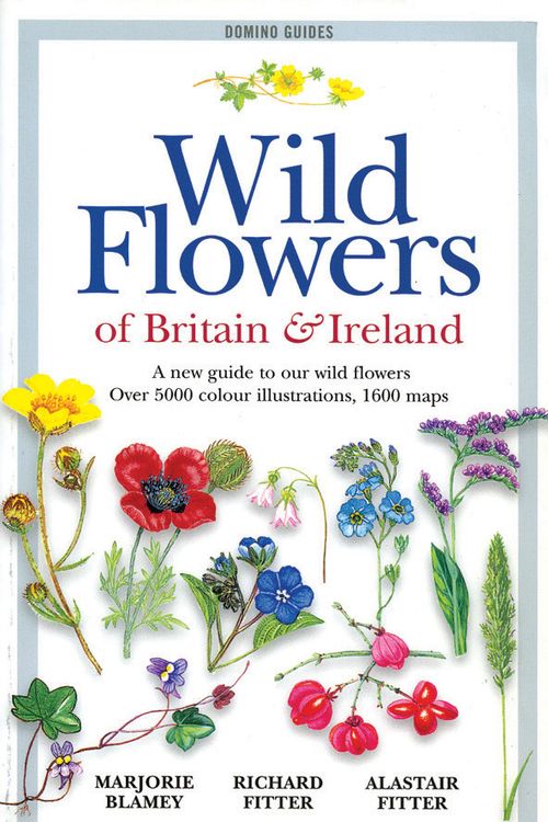 Cover Art for 9780713659443, Wild Flowers of Britain & Ireland by Alastair H. Fitter