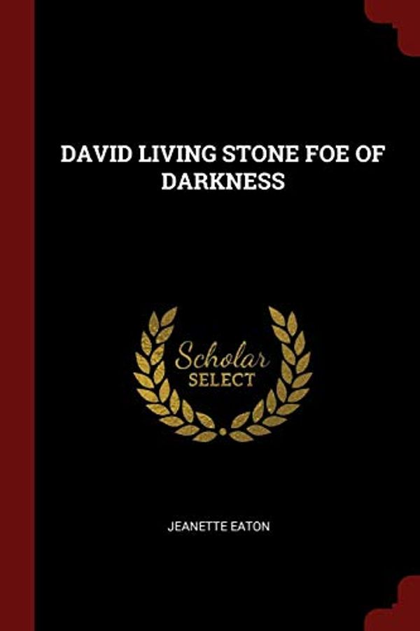 Cover Art for 9781376147896, DAVID LIVING STONE FOE OF DARKNESS by Jeanette Eaton