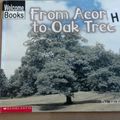 Cover Art for 9780516238128, From acorn to oak tree (How things grow) by Jan Kottke
