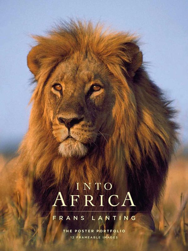 Cover Art for 9781608878871, Into AfricaThe Poster Portfolio by Frans Lanting