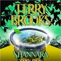 Cover Art for 9780739314975, High Druid of Shannara by Terry Brooks