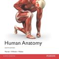 Cover Art for 9781292156798, Human Anatomy, Global Edition by Elaine Marieb, Patricia Wilhelm, Jon Mallatt
