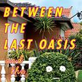 Cover Art for B09NDX1BVD, Between the Last Oasis and the next Mirage: Writings on Australia by Guy Rundle