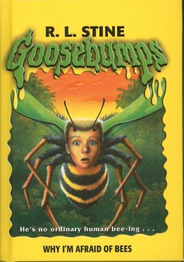 Cover Art for 9780756977498, Why I'm Afraid of Bees by R L. Stine