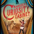 Cover Art for 9781492631484, Magruder's Curiosity Cabinet by H. P. Wood