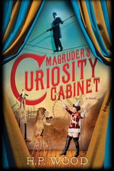 Cover Art for 9781492631484, Magruder's Curiosity Cabinet by H. P. Wood