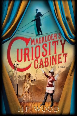 Cover Art for 9781492631484, Magruder's Curiosity Cabinet by H. P. Wood