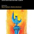 Cover Art for 9781839101632, Research Handbook on the Politics of Constitutional Law (Research Handbooks in Law and Politics series) by Mark Tushnet, Dimitry Kochenov