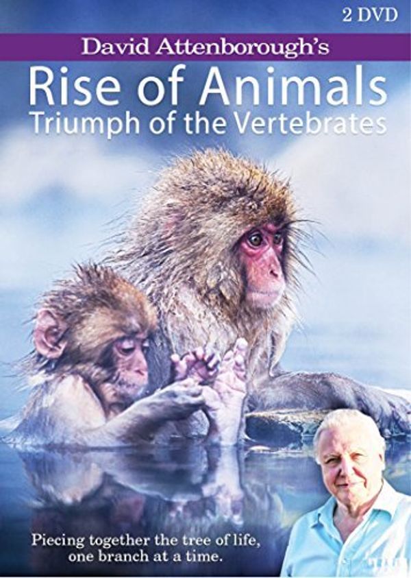 Cover Art for 0767943326474, David Attenborough's Rise of Animals: Triumph of the Vertebrates [DVD] by Unknown