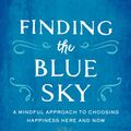 Cover Art for 9780143109631, Finding the Blue Sky by Joseph Emet