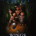 Cover Art for 9781445022062, Wings by Terry Pratchett