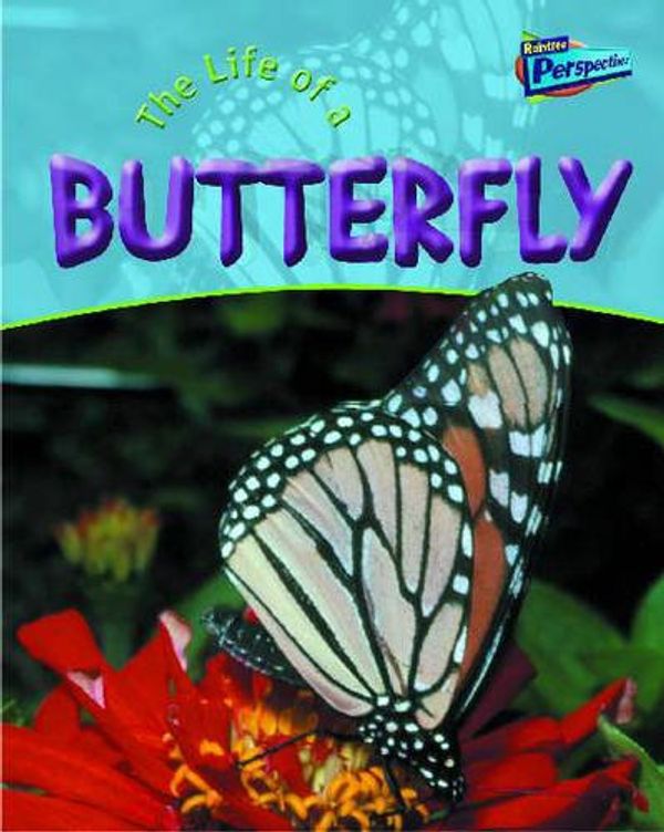 Cover Art for 9781844433155, The Life of a Butterfly (Life Cycles Close Up) (Life Cycles Close Up) by Clare Hibbert