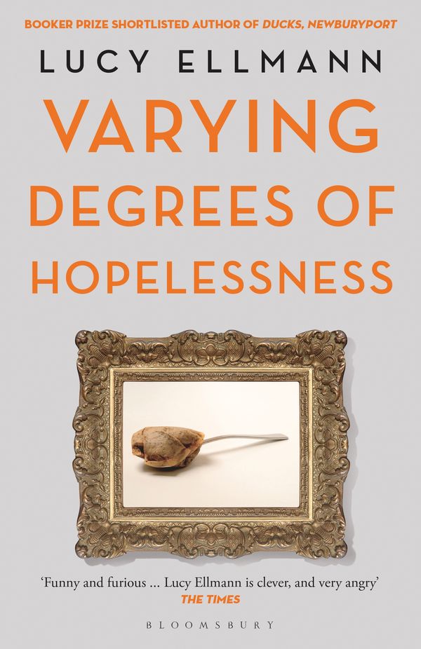 Cover Art for 9781408840733, Varying Degrees of Hopelessness by Lucy Ellmann