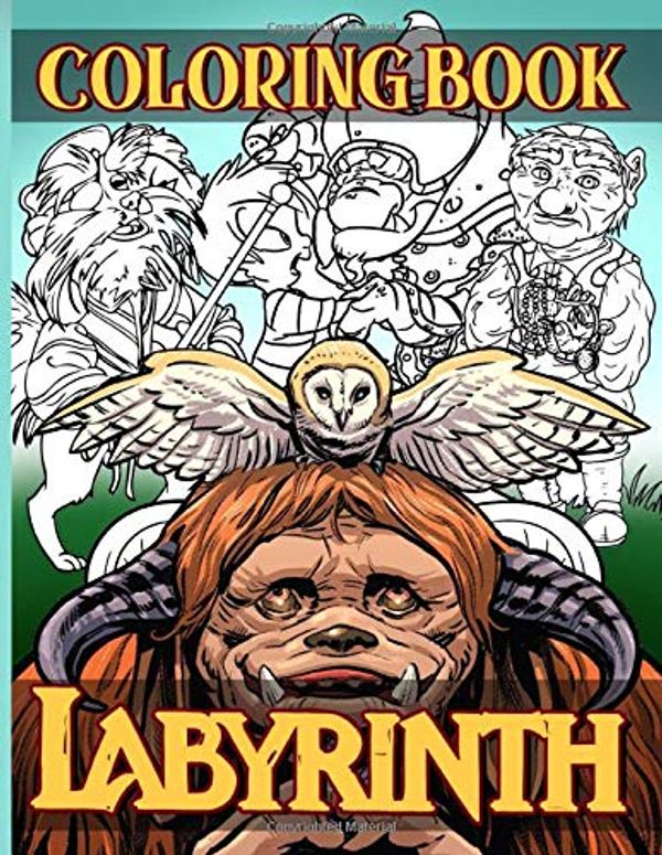 Cover Art for 9798665360249, Labyrinth Coloring Book: Premium Labyrinth Adult Coloring Books For Men And Women With Exclusive Images by Jeremiah Gray