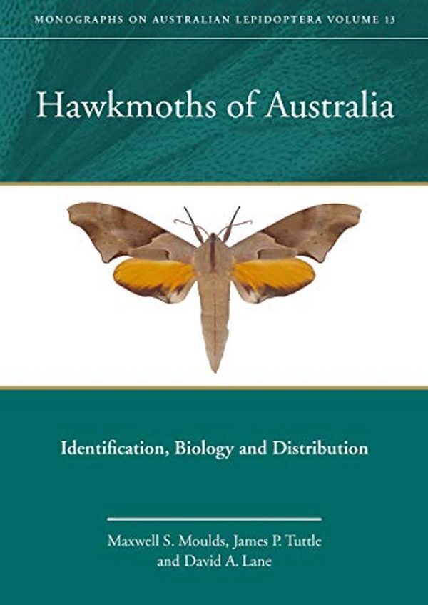 Cover Art for B08434RK54, Hawkmoths of Australia: Identification, Biology and Distribution (Monographs on Australian Lepidoptera Series Book 13) by Maxwell Moulds, James Tuttle, David Lane