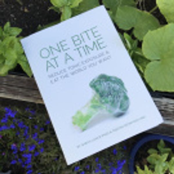 Cover Art for 9780646964744, One Bite at a Time by Lantz, Sarah; Mcintosh, Tabitha