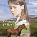 Cover Art for 9781417638710, A Season of Hope by Lauren Brooke