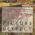 Cover Art for 9780340897959, Picture Perfect by Jodi Picoult