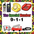 Cover Art for 9781456889821, The Special Number by Janet Arnold