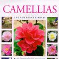 Cover Art for 9781859679005, Camellias by Andrew Mikolajski