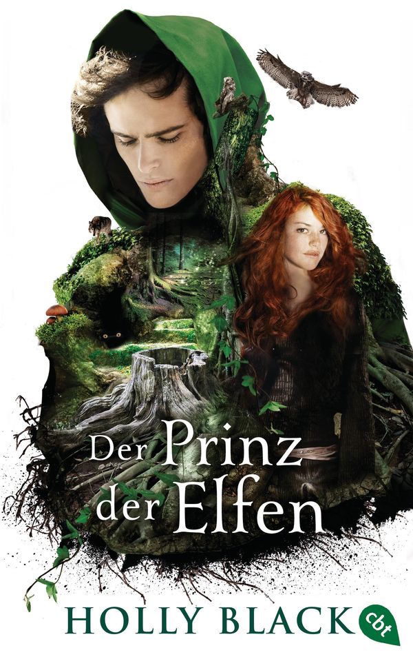 Cover Art for 9783641166441, Der Prinz der Elfen by Anne Brauner, Holly Black