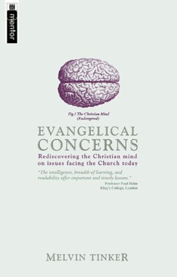 Cover Art for B013RQJDW4, Evangelical Concerns: Rediscovering the Christian mind on issues facing the Church today by Melvin Tinker (21-May-2001) Paperback by 