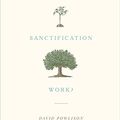 Cover Art for B01N7JW2N4, How Does Sanctification Work? by David Powlison