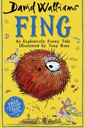 Cover Art for 9780008349080, Fing by David Walliams