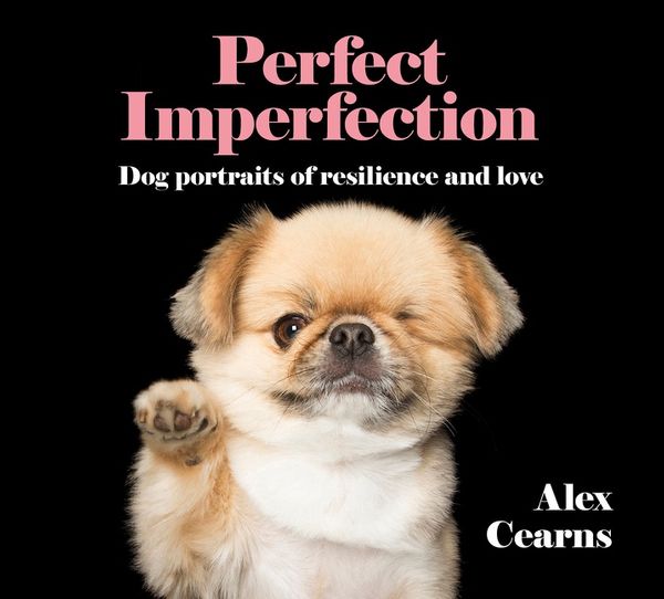 Cover Art for 9780733339189, Perfect ImperfectionDog Portraits Of Resilience And Love by Alex Cearns