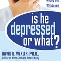 Cover Art for 9781572244245, Is He Depressed or What? by David B.f Wexler