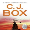 Cover Art for 9780593556351, Shadows Reel by C. J. Box