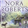 Cover Art for 9780606358675, Blood Magick (Cousins O'Dwyer Trilogy) by Nora Roberts
