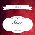 Cover Art for 9781533247209, Iliad: By Homer  - Illustrated by Homer
