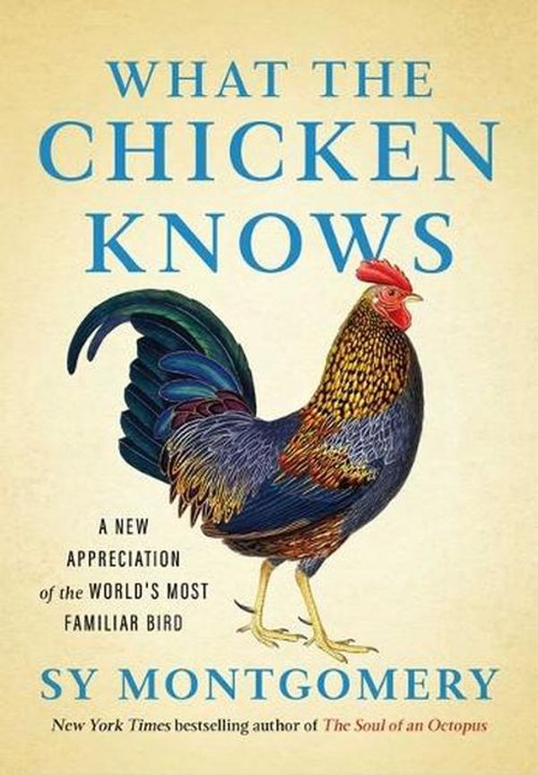 Cover Art for 9781668047361, What the Chicken Knows: A New Appreciation of the World's Most Familiar Bird by Sy Montgomery